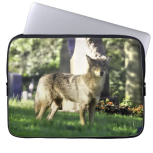 Coyote at the cemetery laptop sleeve