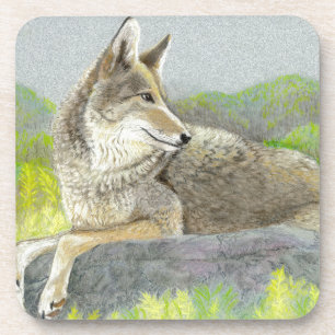 Coyote Beverage Coaster