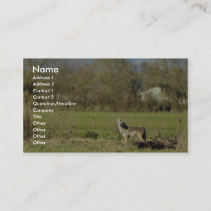 Coyote Business Card
