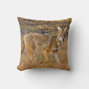 Coyote (Canis Latrans) Hunting Throw Pillow