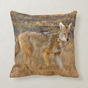 Coyote (Canis Latrans) Hunting Throw Pillow