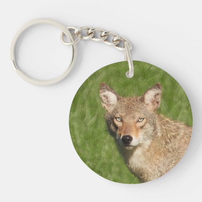 Coyote close up  keychain (Front)