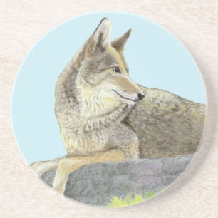 Coyote Coaster