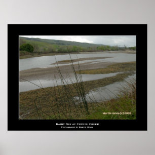 "Coyote Creek Rainy Day" Poster