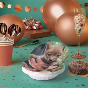 Coyote Cub Paper Plate