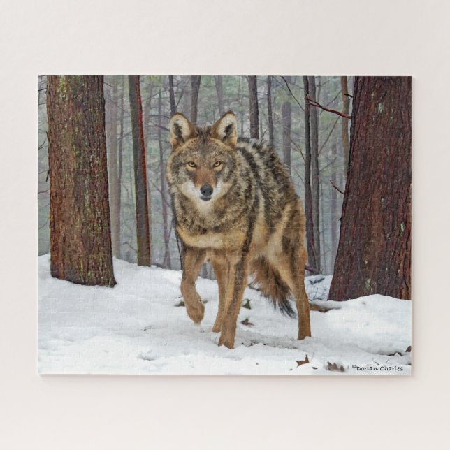 "Coyote Dans Les Pins" Puzzle (Horizontal)