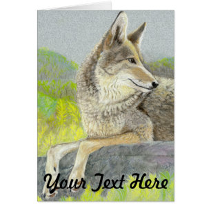 Coyote Greeting Card