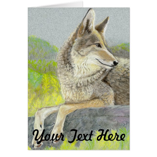 Coyote Greeting Card (Front)