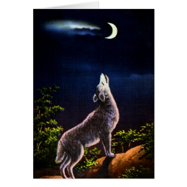Coyote Howling at the Moon (Front)