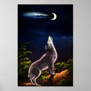 Coyote Howling at the Moon Poster