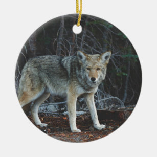 Coyote Hunting Ceramic Ornament