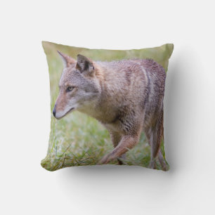 Coyote in field, Cades Cove Throw Pillow