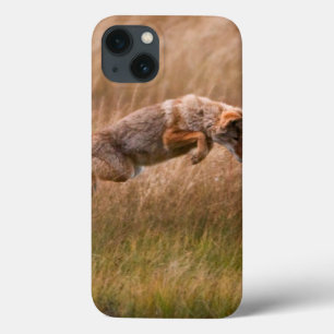 Coyote Leaping - Gibbon Meadows iPhone 13 Case