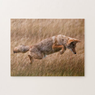 Coyote Leaping - Gibbon Meadows Jigsaw Puzzle