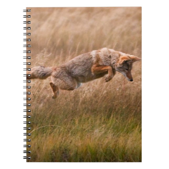 Coyote Leaping - Gibbon Meadows Notebook (Front)
