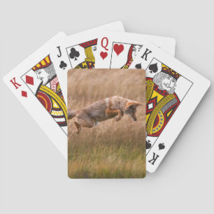 Coyote Leaping - Gibbon Meadows Playing Cards
