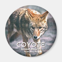 Coyote