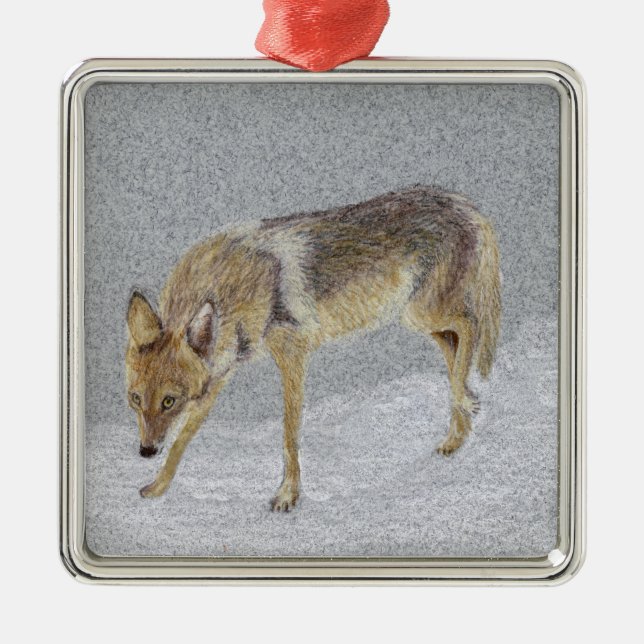 Coyote Metal Ornament (Front)