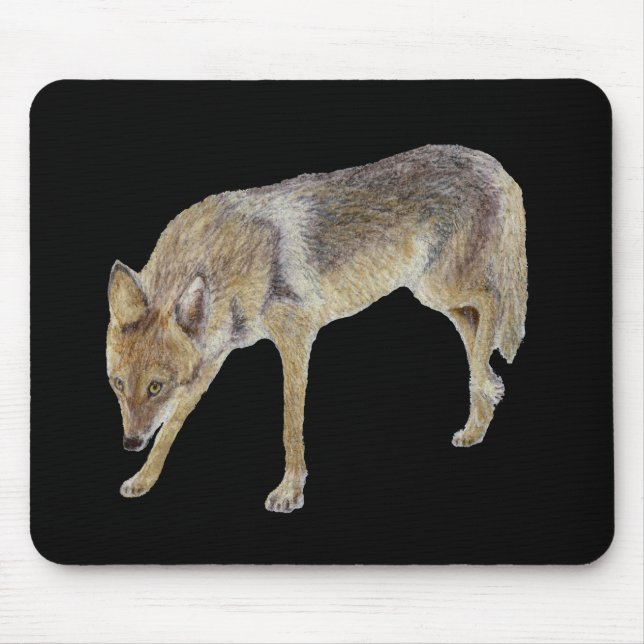 Coyote Mouse Pad (Front)