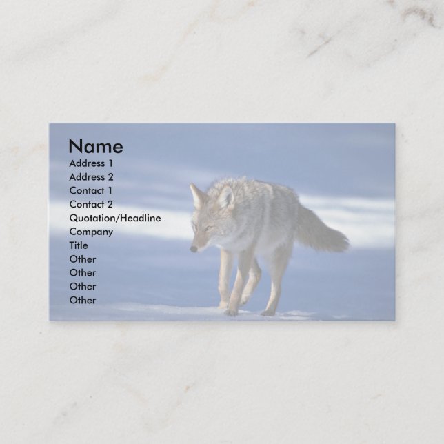 Coyote on snow business card (Front)
