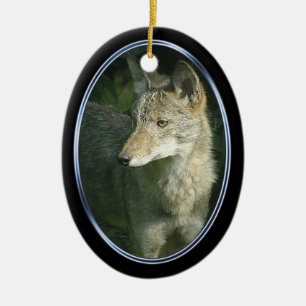 Coyote oval ornament