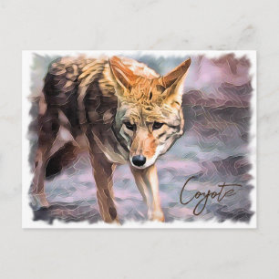 Coyote Postcard