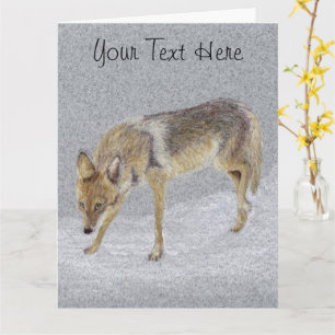 Coyote Postcard