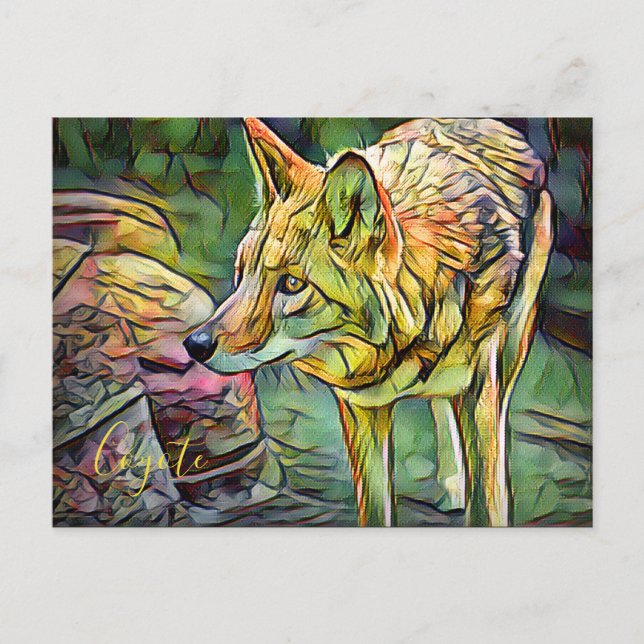 Coyote [Postcard] Postcard (Front)