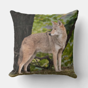 Coyote Pretty Throw Pillow
