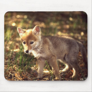 Coyote Pup Mousepad