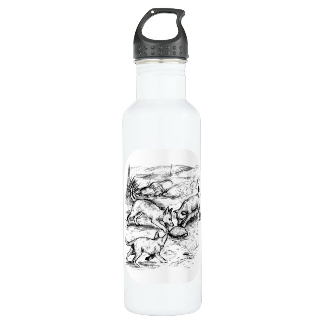 Coyote Pups 710 Ml Water Bottle (Front)