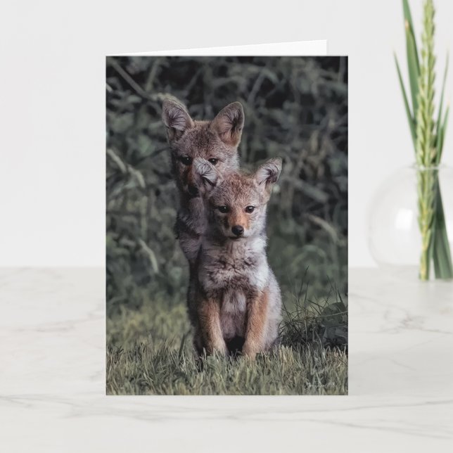 Coyote Pups  Thank You Card (Front)