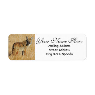 Coyote Return Address