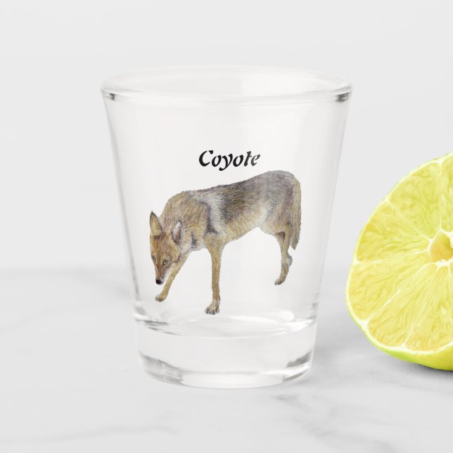 Coyote Shot Glass (Front)