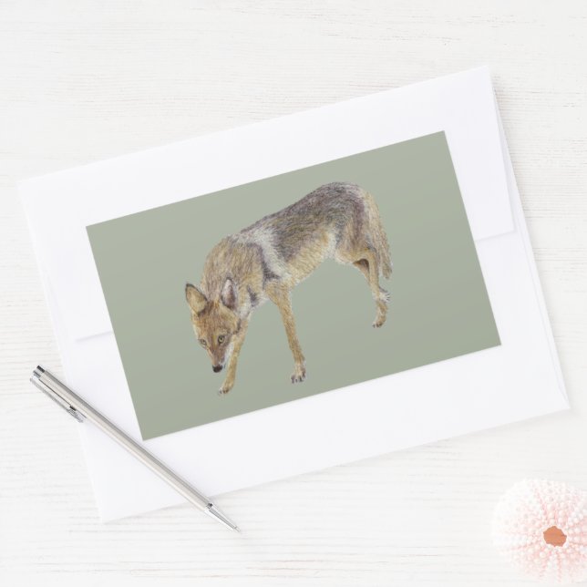 Coyote Sticker (Envelope)