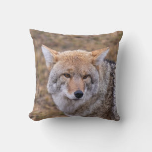 Coyote Wild Dog Pillow
