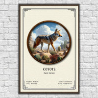 Coyote Zoology Series