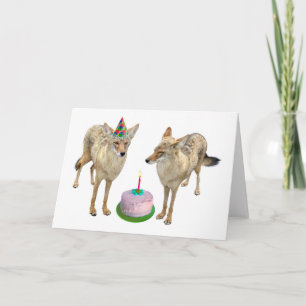 Coyotes Birthday Card