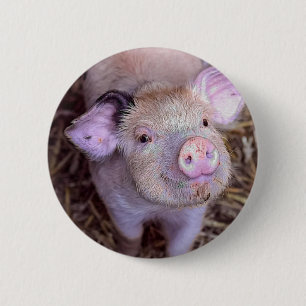 Cozmico 2 Inch Round Button