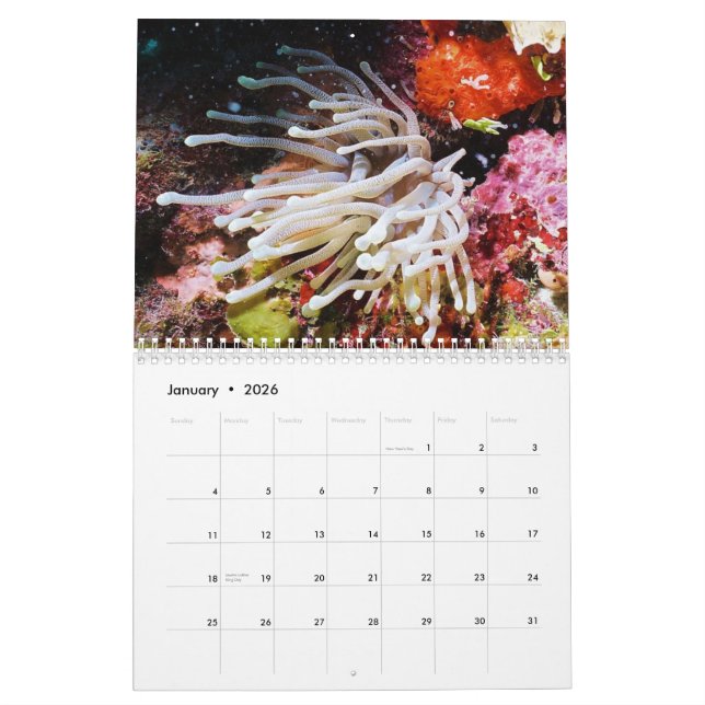 Cozumel 2011 Underwater Calendar (Jan 2026)