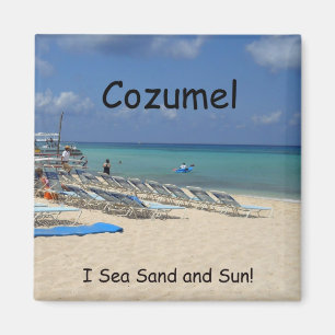 Cozumel, I Sea Sand and Sun! Magnet