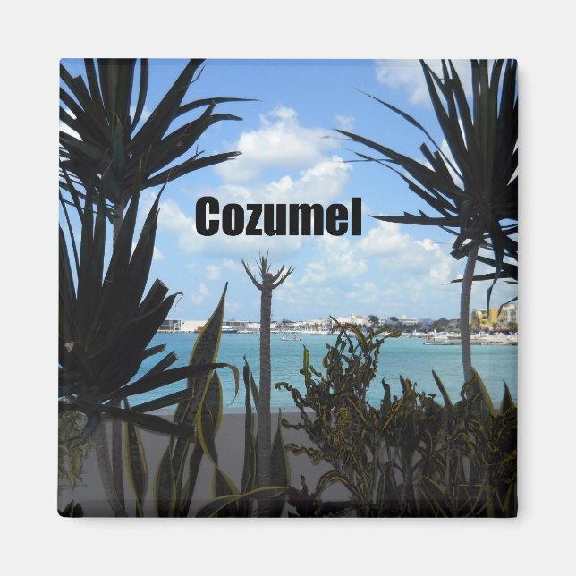 Cozumel Magnet (Front)