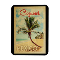Cozumel Magnet Palm Tree Vintage Travel