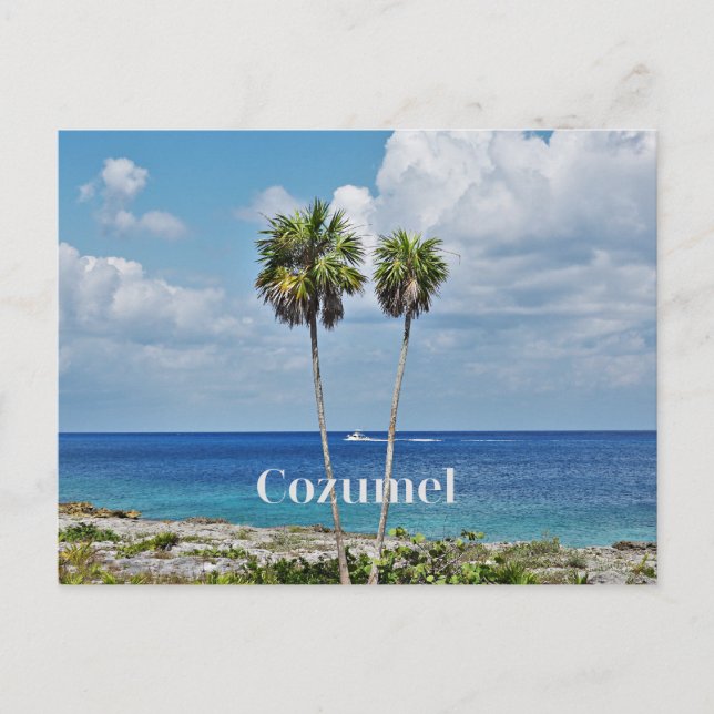 Cozumel, Mexican island, Postcard (Front)