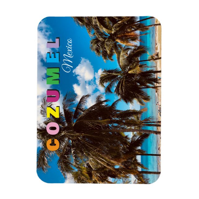 Cozumel Mexico Magnet (Vertical)