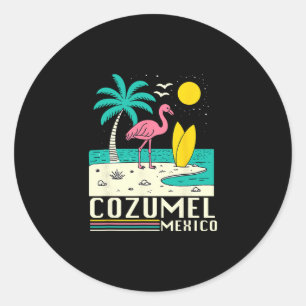 Cozumel Mexico Souvenir Vacation Travel Men Women Classic Round Sticker