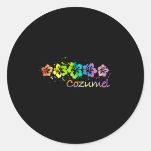 Cozumel, Mexico Watercolor Beach &amp; Surf  Classic Round Sticker