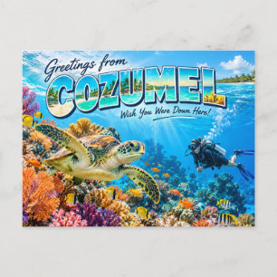 Cozumel Scuba Diving Travel Postcard