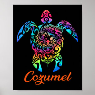 Cozumel Sea Turtle Family Vacation Summer 2025 Poster