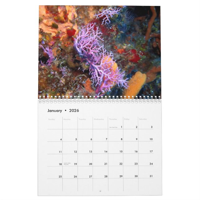 Cozumel Underwater 2014 Calendar (Jan 2026)